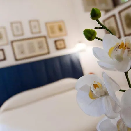 Il Glicine Sul Golfo 蒙德罗