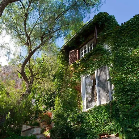 Il Glicine Sul Golfo 住宿加早餐酒店 蒙德罗