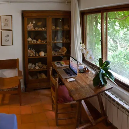 Il Glicine Sul Golfo Mondello